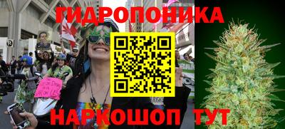 винт Кингисепп