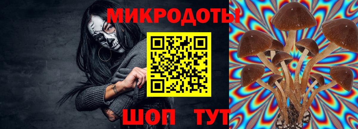 Псилоцибиновые грибы GOLDEN TEACHER Куйбышев