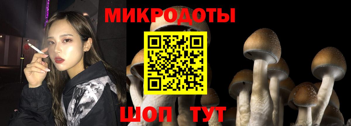 Куйбышев  Галлюциногенные грибы Psilocybe  Вход с VPN 